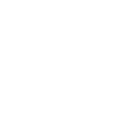 TikTok Logo